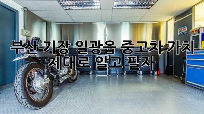 부산 기장 일광읍 중고차 가치, 제대로 알고 팔자!